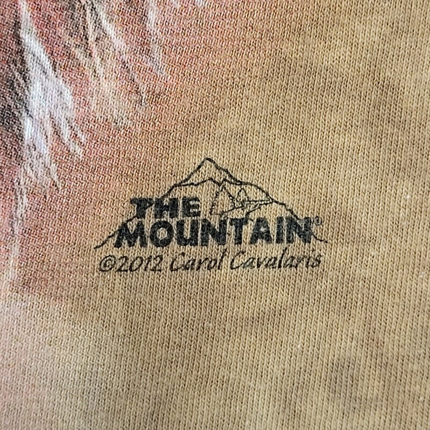 The Mountain Gildan Brown Vintage Y2K Short Sleeve T-Shirt Uk Men's Large