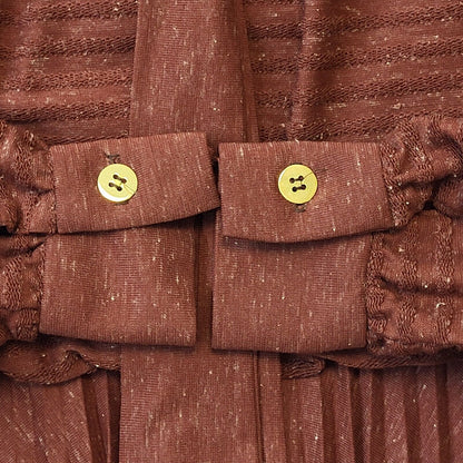 Claudie Amos 70s Vintage Brown Long Sleeve Pleated Dress Women's Size 10