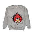 Fruit Of The Loom Grey Angry Birds Sweatshirt Vintage Y2K Boys Age 14-15 Years