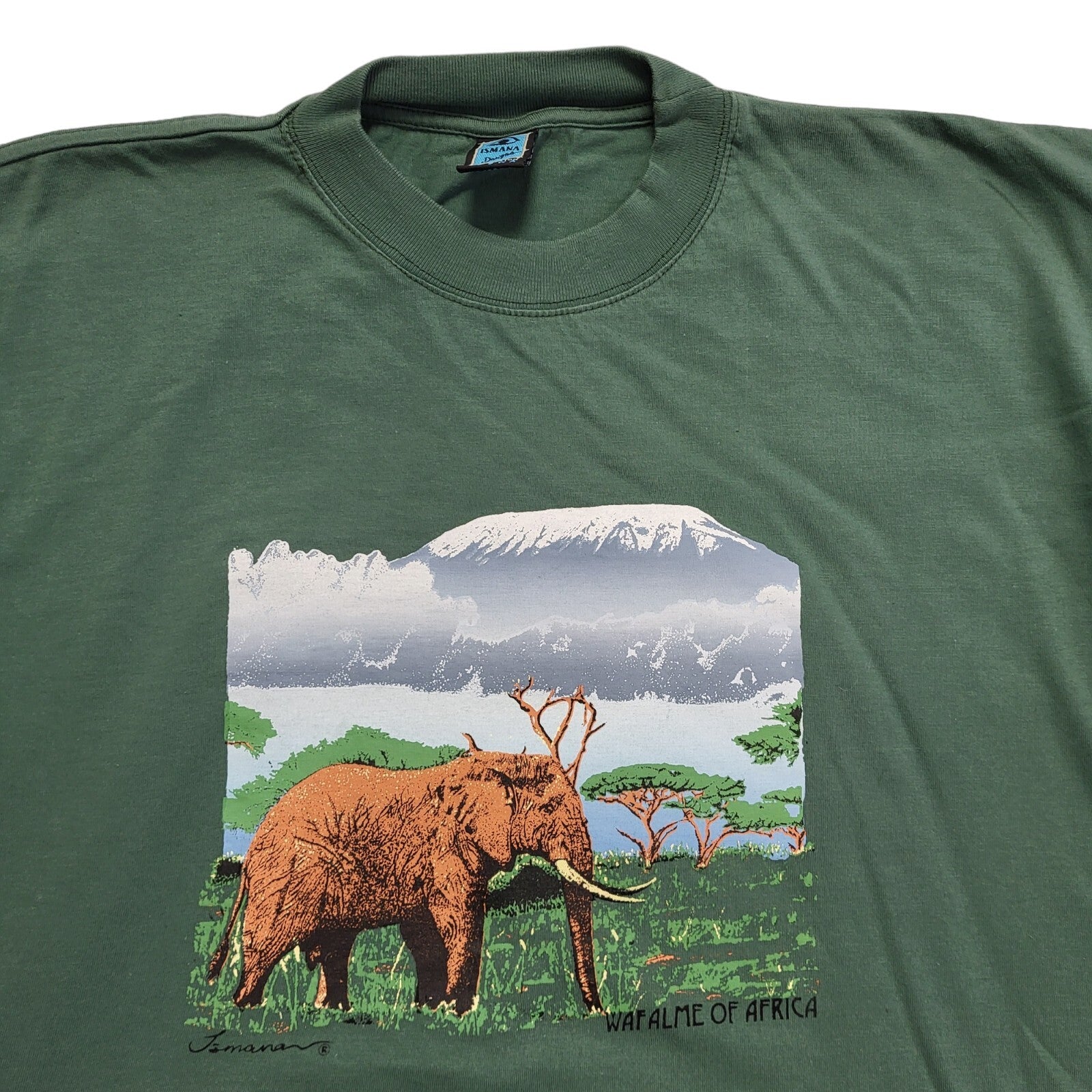 Ismana Vintage 90's Green Wafalme Of Africa Short Sleeve T-Shirt Mens UK Size M