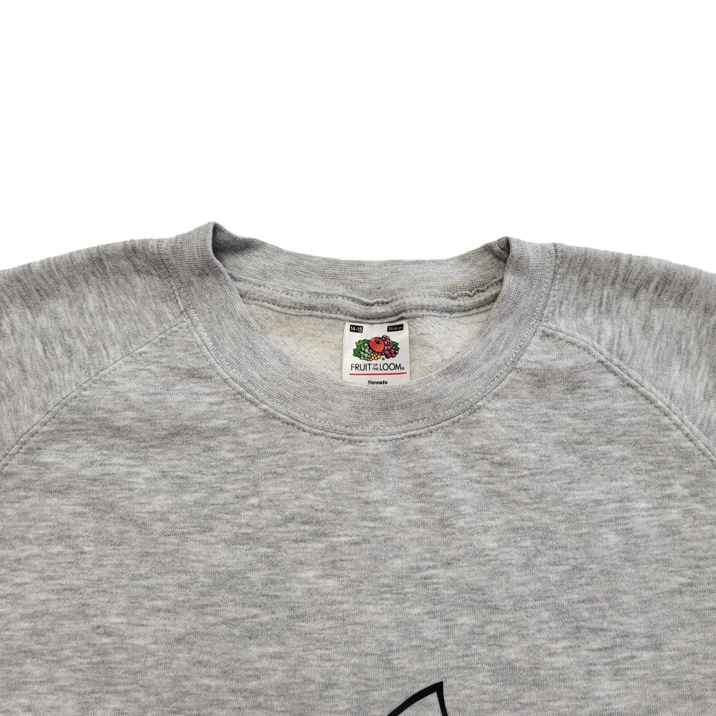 Fruit Of The Loom Grey Angry Birds Sweatshirt Vintage Y2K Boys Age 14-15 Years
